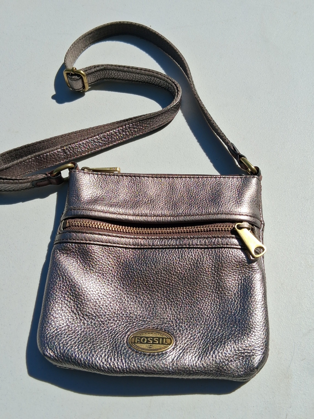 Fossil Metallic Pewter Small Crossbody Bag Skatergirl On The Go